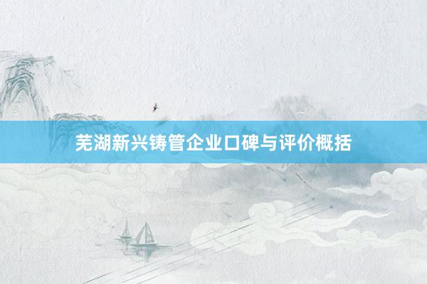 芜湖新兴铸管企业口碑与评价概括